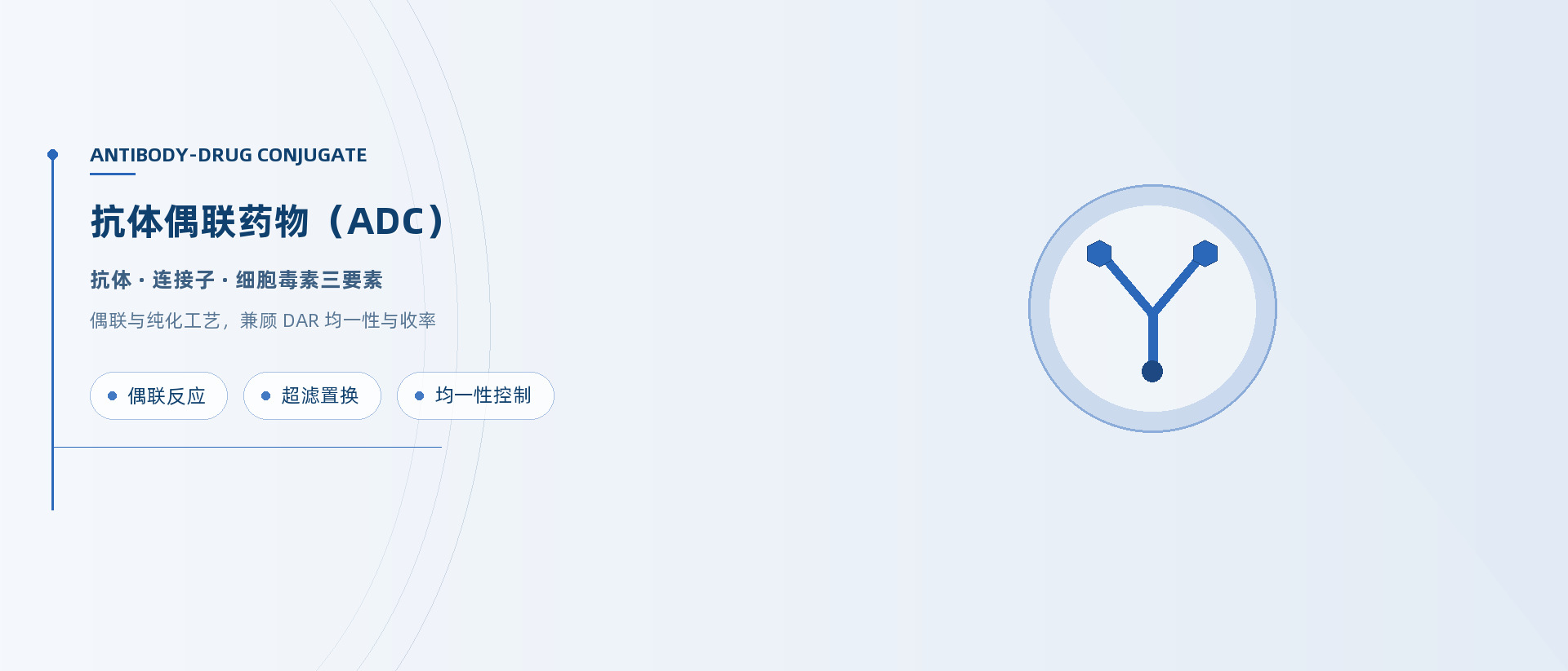 抗体偶联药物（ADC)