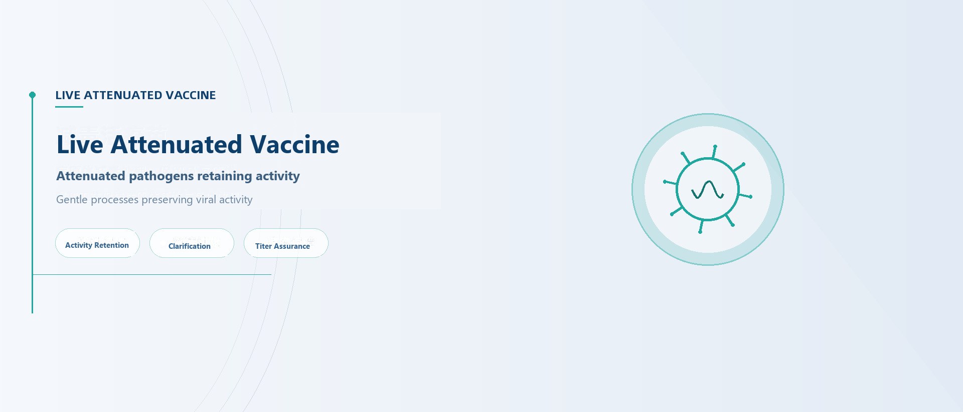 Live Attenuated Vaccines