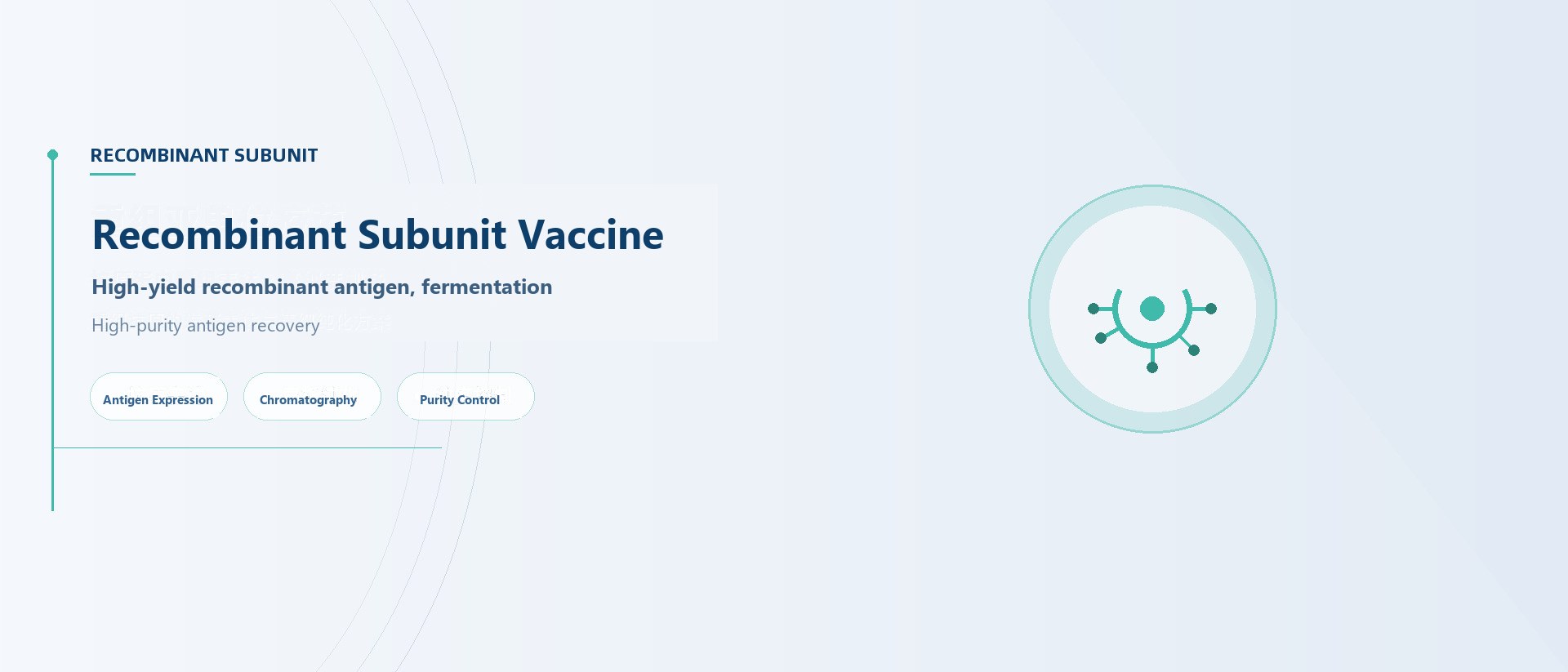 Recombinant Subunit Vaccines