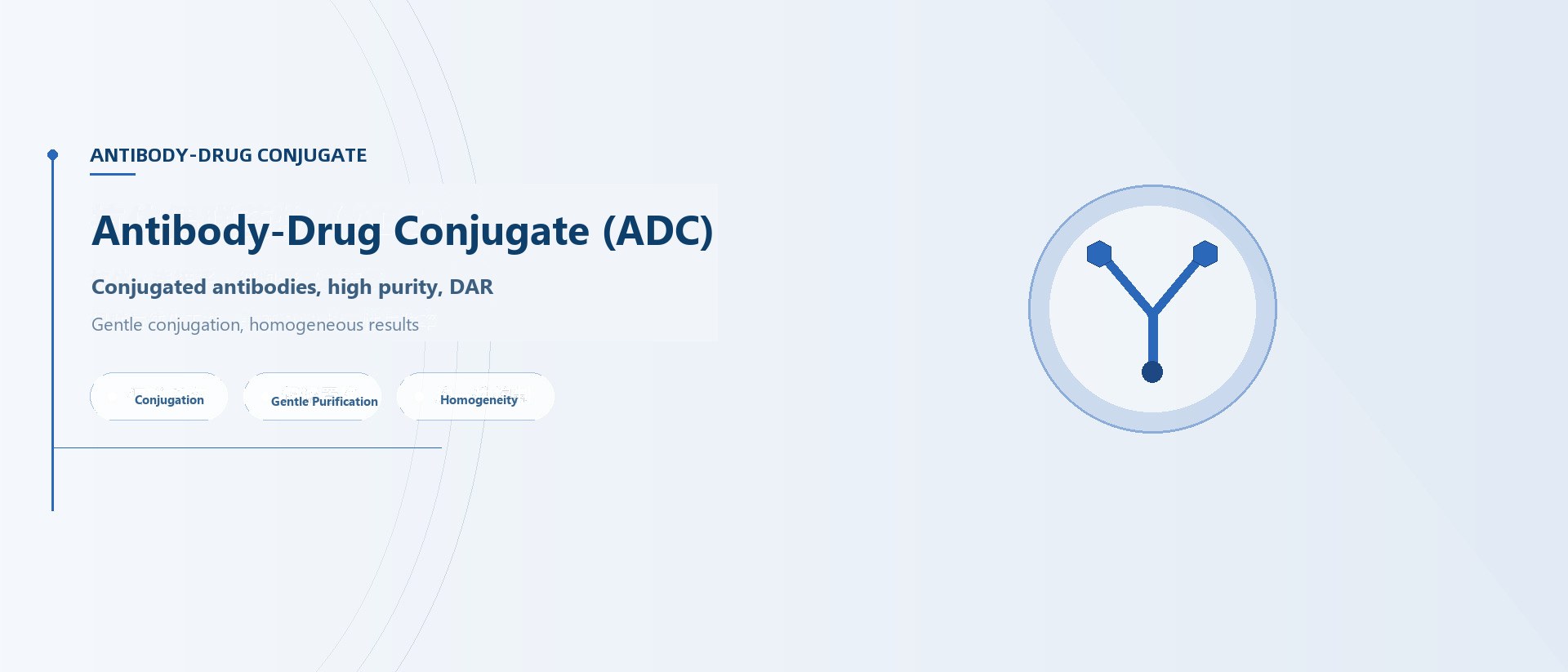 Antibody-Drug Conjugates（ADC)